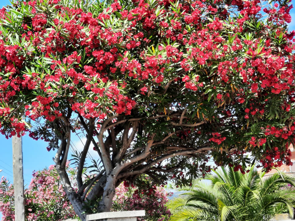 Sonstiges AQUA Hotel Onabrava & Spa