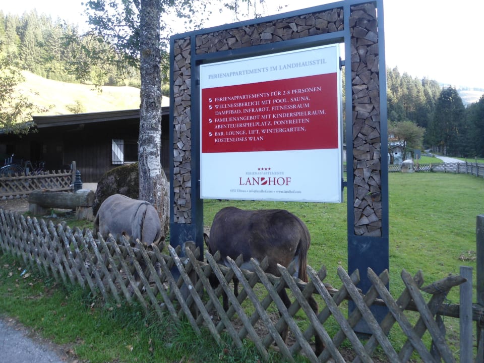 Traumhaft Landhof Ellmau