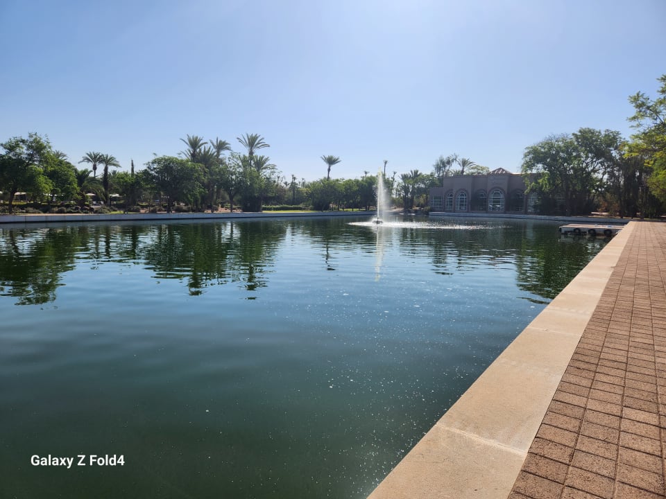 Gartenanlage Barceló Palmeraie