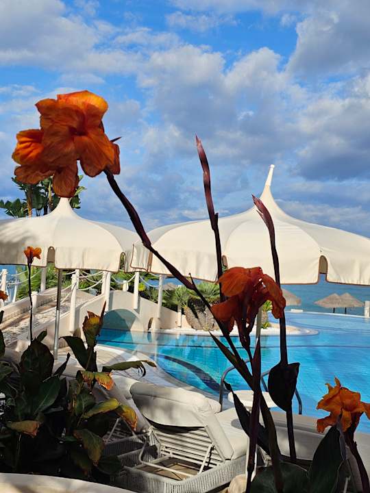 Pool Hotel Villaggio Il Gabbiano