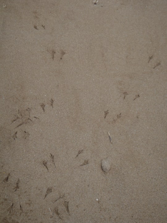 Strand VONRESORT Golden Coast