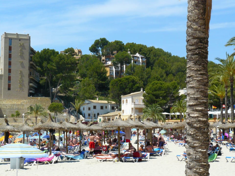 Bis zum Strand ca. 200m Valentin Reina Paguera