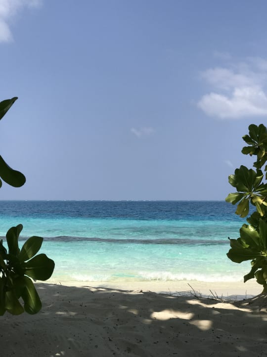 Strand Centara Ras Fushi Resort & Spa Maldives