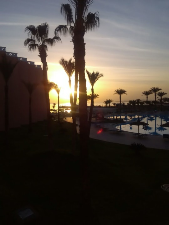 Außenansicht Beach Albatros Resort