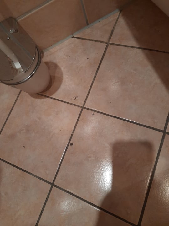 Zimmer Seehotel Schloss Klink