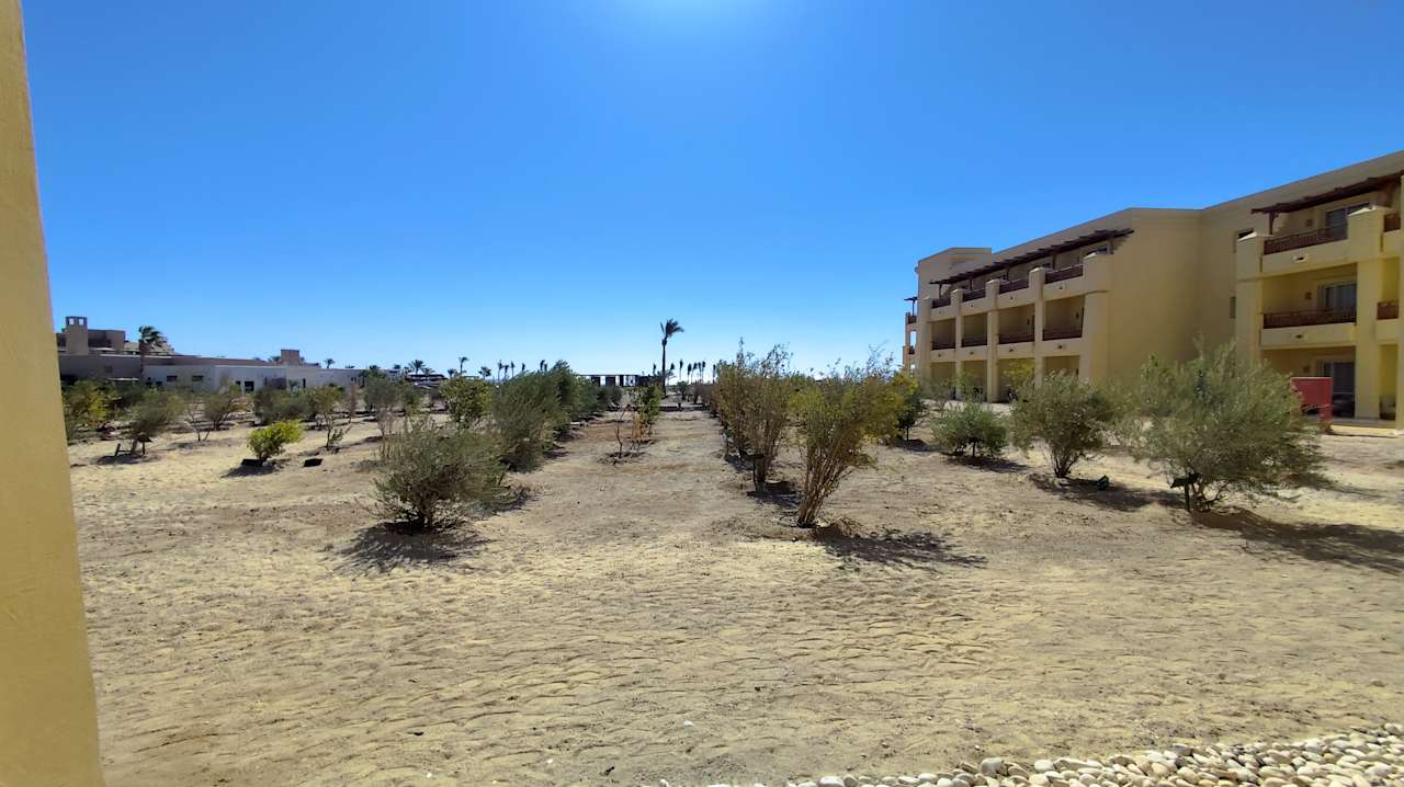 Zimmer Hotel Sheraton Soma Bay Resort