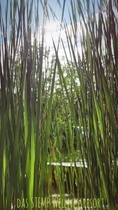 Außenansicht Das Stemp Wellnessresort