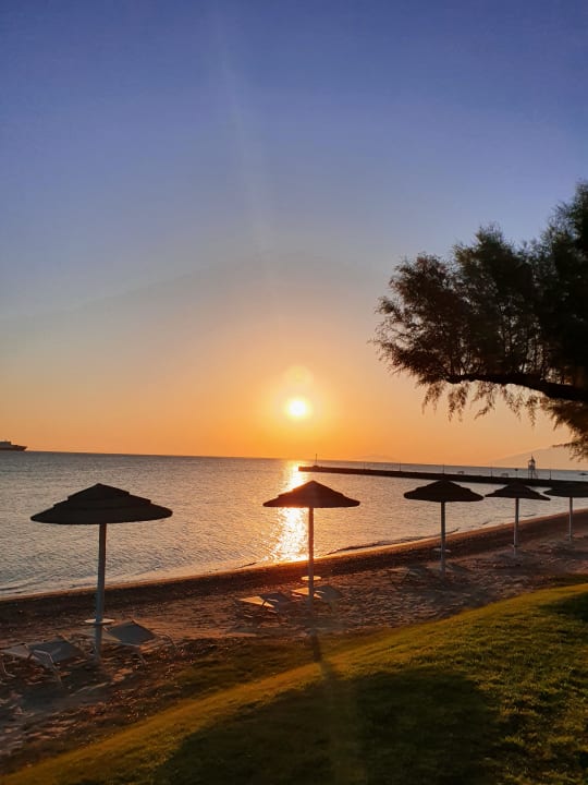 Strand TUI BLUE Oceanis Beach and Spa Resort