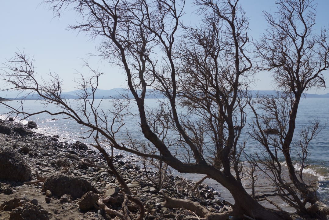 Freier Strand ohne Liegen-FKK Porto Agia Galini