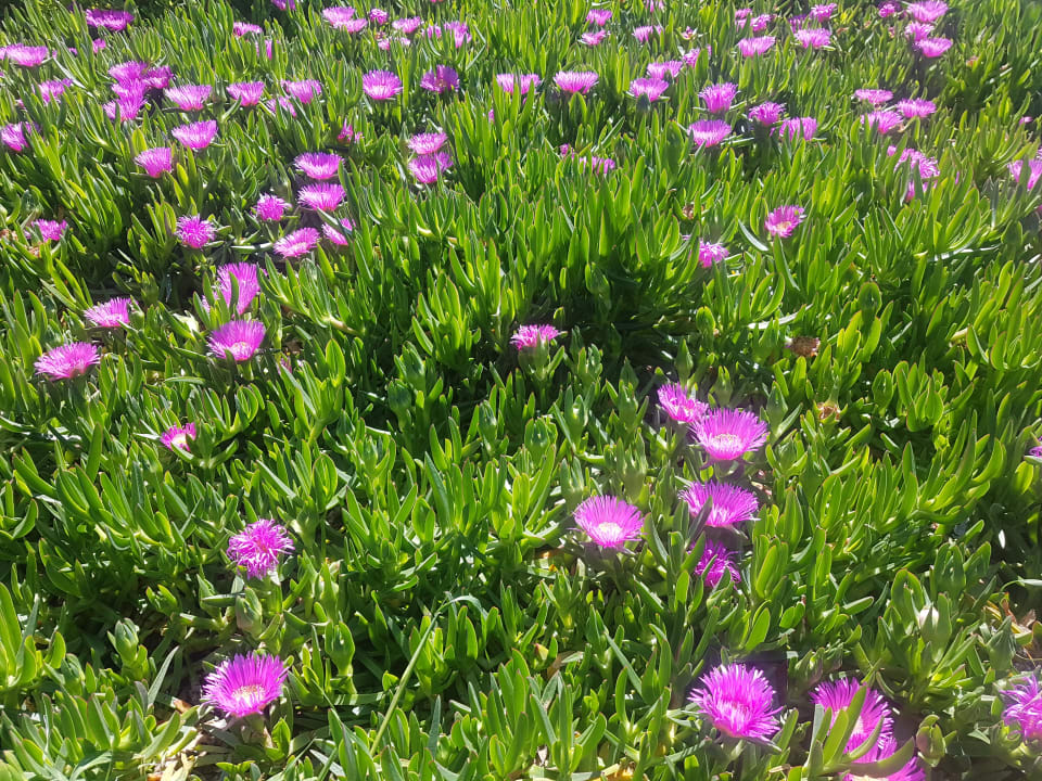 Sonstiges Aydinbey Kings Palace & Spa