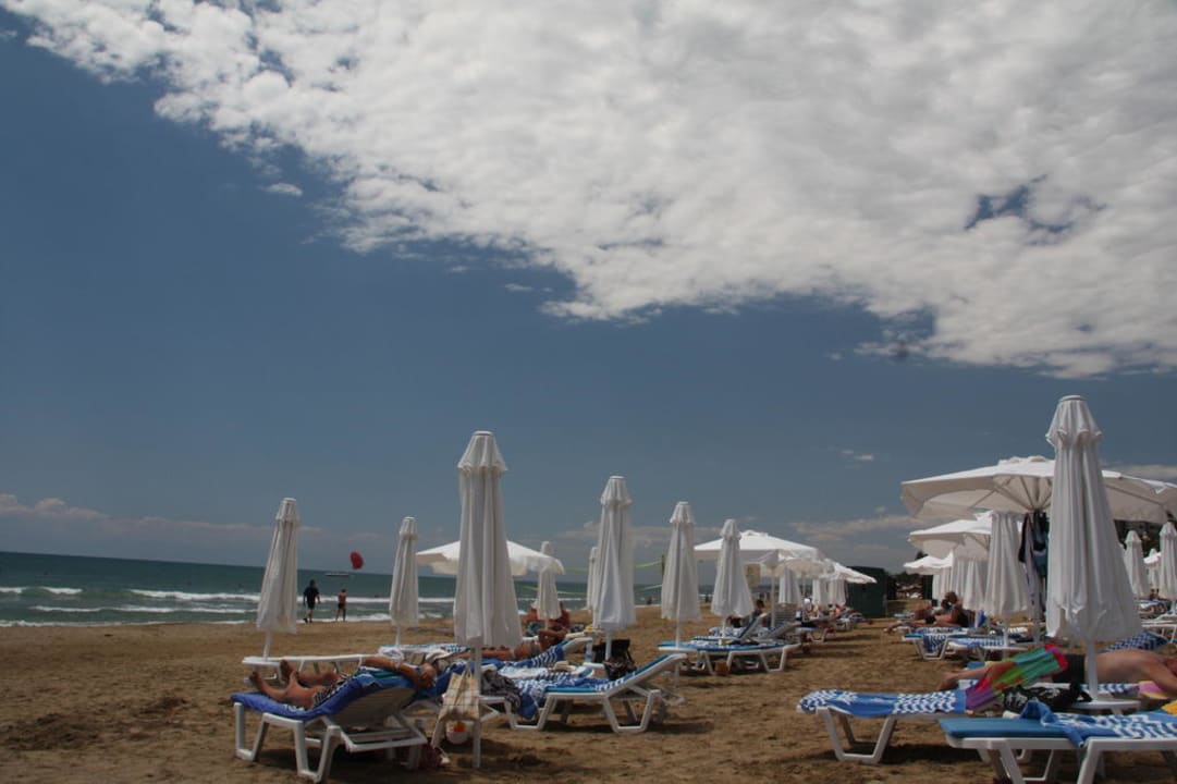 Strand Side Star Elegance