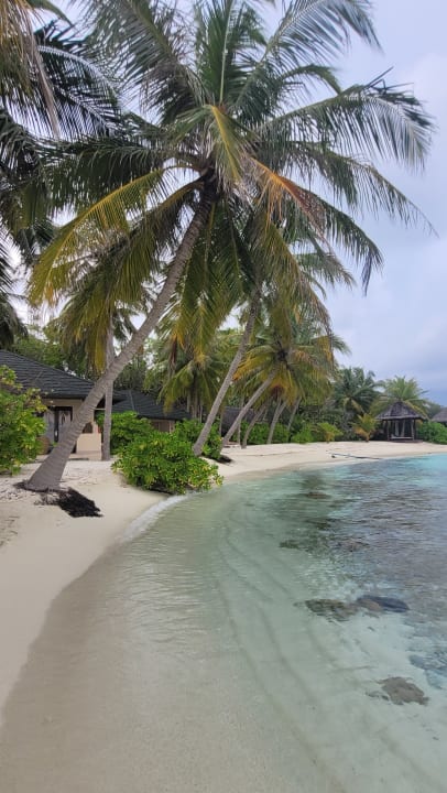 Strand Summer Island Maldives