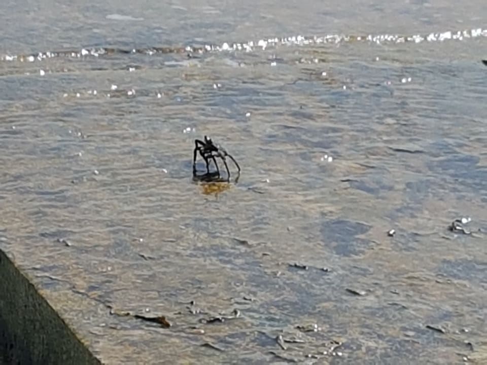 Strand Adaaran Club Rannalhi - All Inclusive