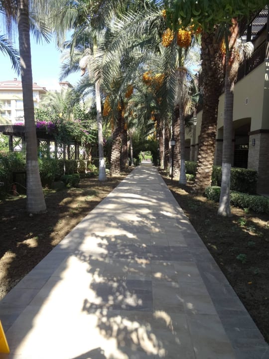 Anlage Sunis Kumköy Beach Resort Hotel & Spa