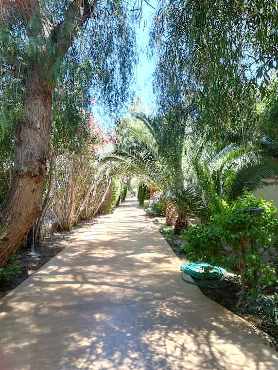 Gartenanlage Latanya Park Resort