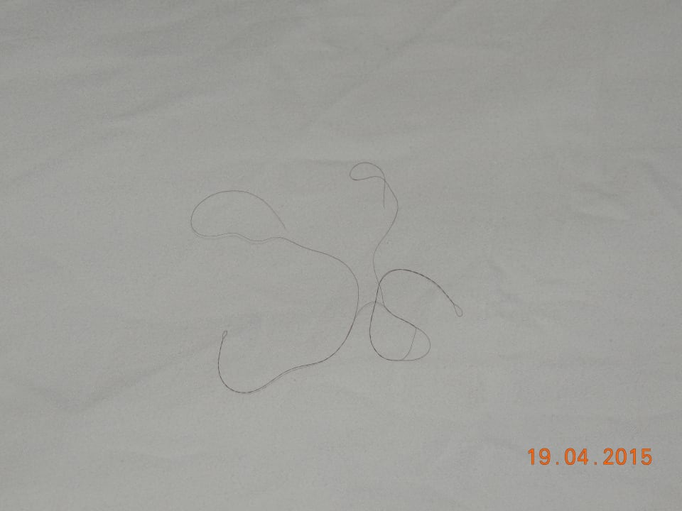 Fremde haare Villas Bavaro Resort & Spa