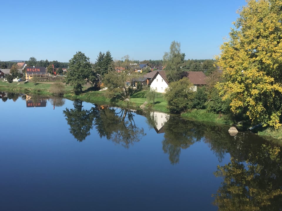 Ausblick Urlaub am Regen - Ferienhof Dirnberger