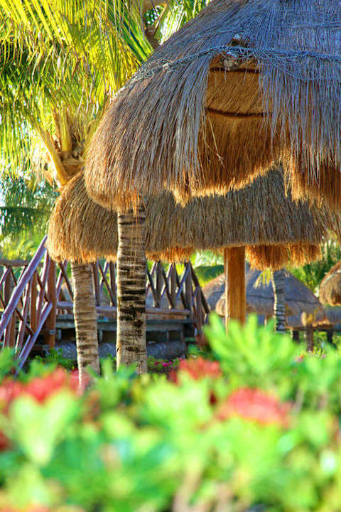 На территории Grand Palladium Select White Sand Resort & Spa