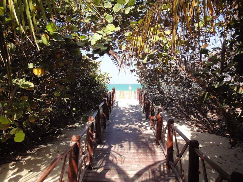 Weg zum Strand Iberostar Origin Playa Alameda