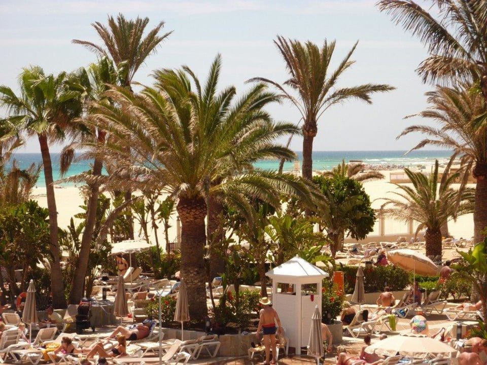 Hotelanlage und Resort Hotel Riu Oliva Beach - Hotel