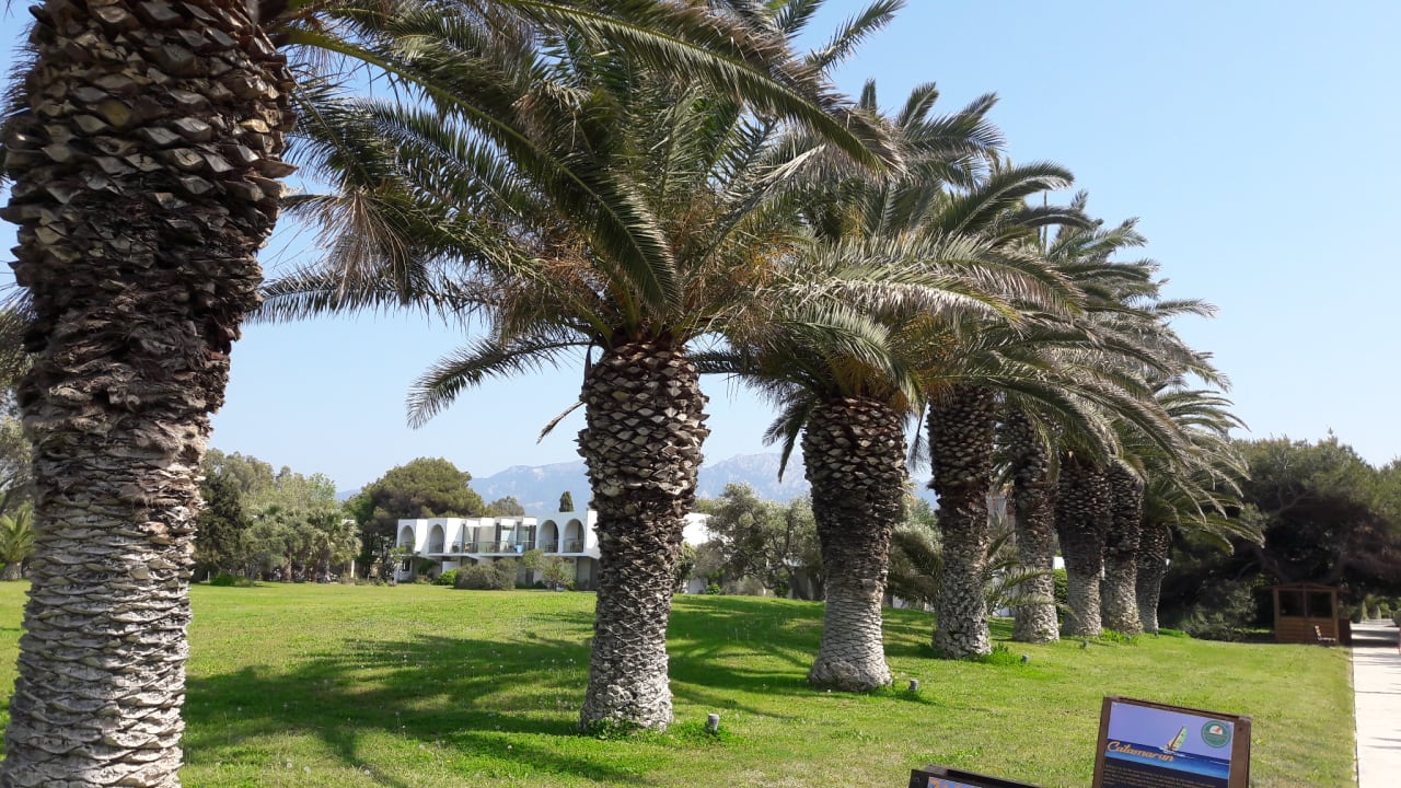 Gartenanlage Caravia Beach Hotel
