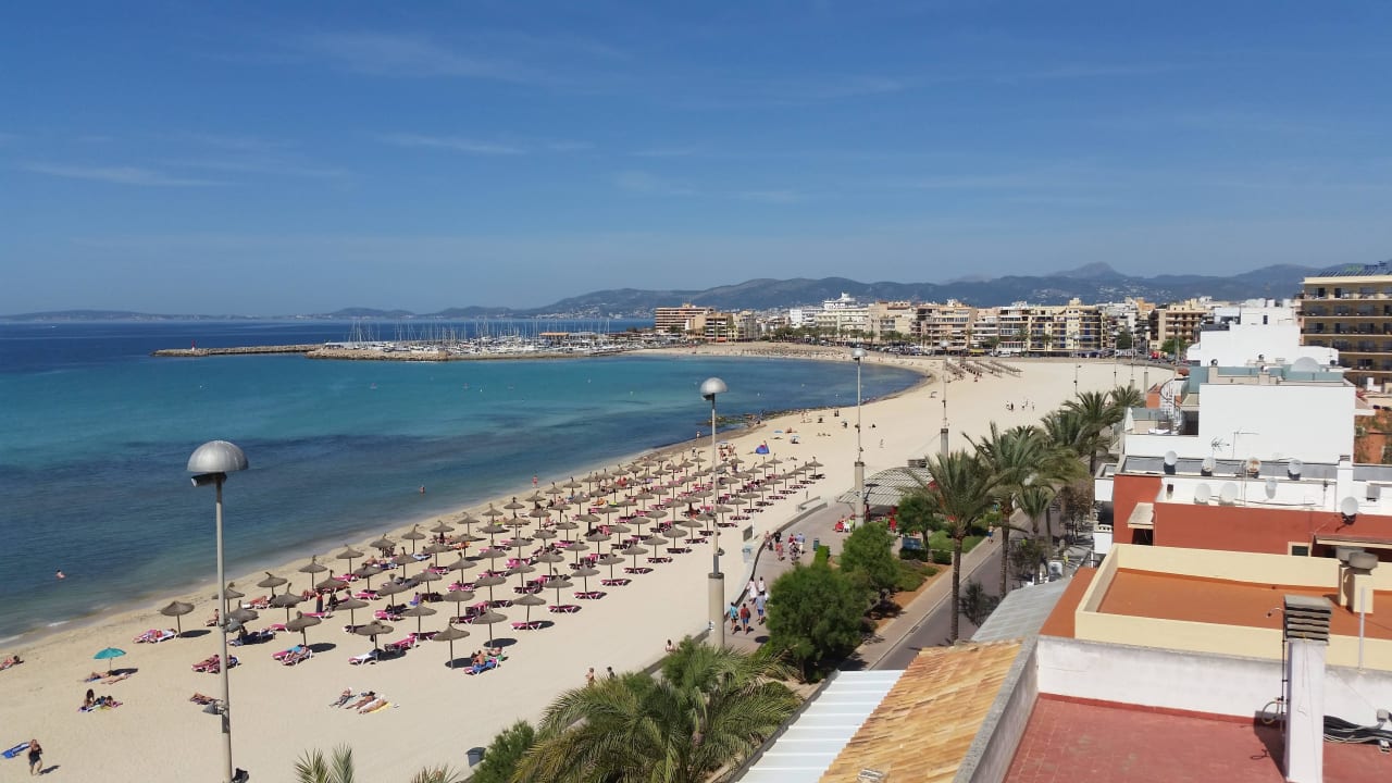 Blick von der Dachterrasse Hotel Edén Palma Playa - Adults Only