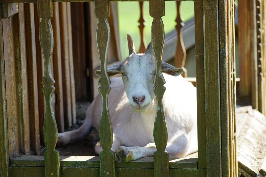 Sonstiges Ferienhof Schmid