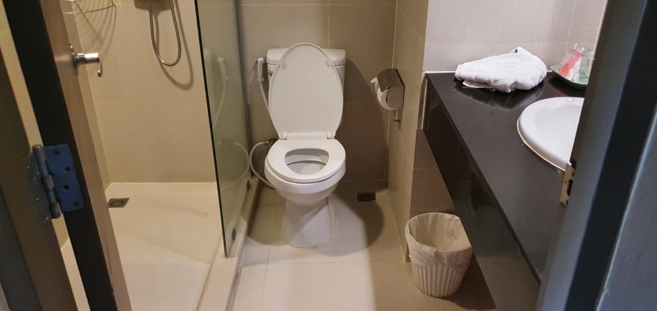 Zimmer The Green Park Resort