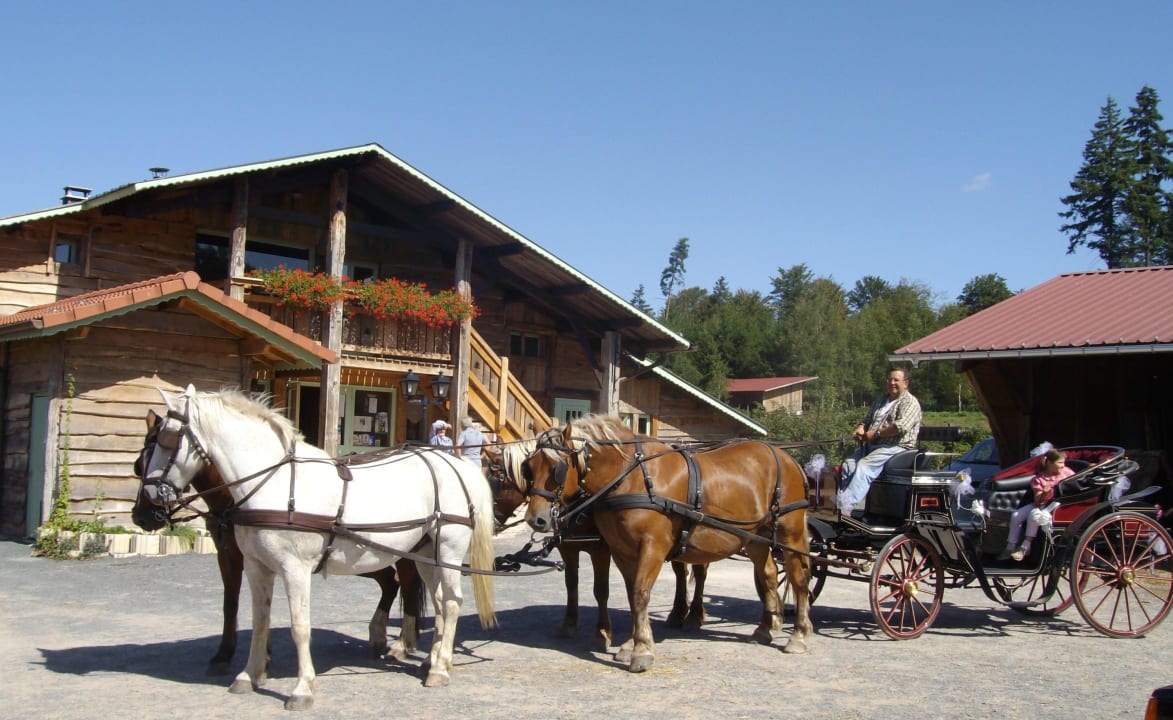 Restaurant et calèche Centre écotouristique Bertrichamps