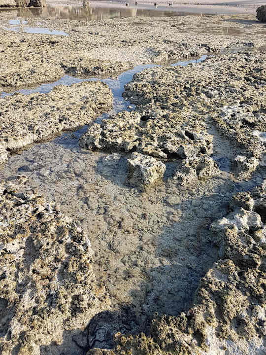 Strand Pickalbatros Citadel Resort