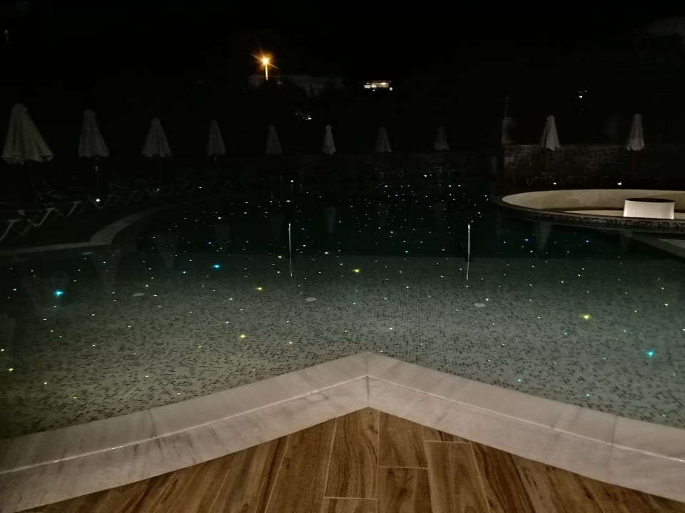 Pool Cactus Beach