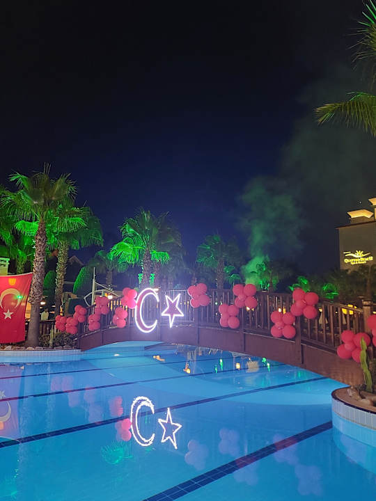 Pool Dizalya Palm Garden