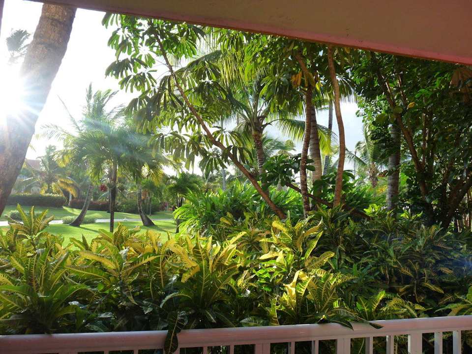 Blick in den Garten Punta Cana Princess All Suites Resort & Spa