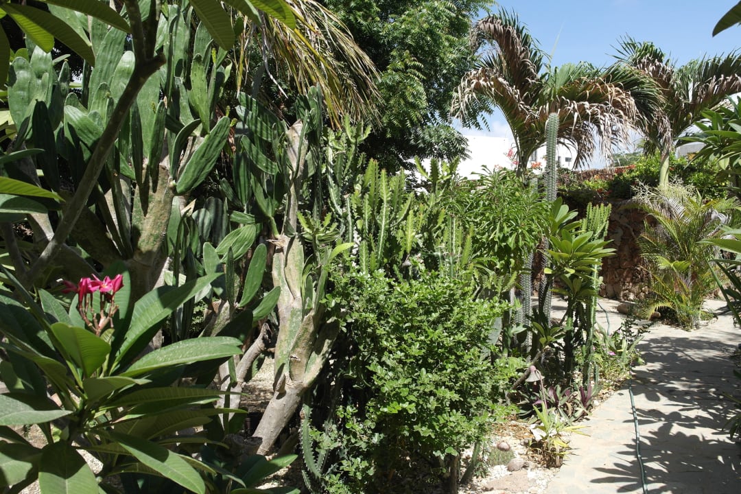 Garten Guesthouse StevieWonderLand