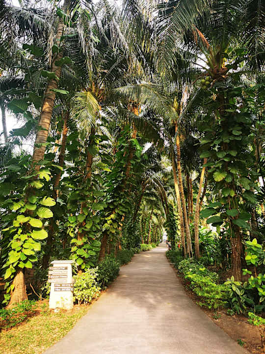 Gartenanlage Sheraton Hua Hin Pranburi Villas