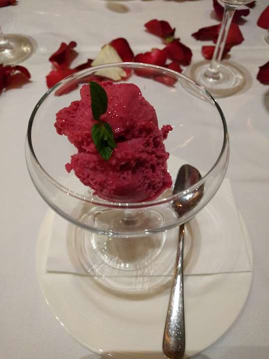 Gastro Acanthus Cennet Barut Collection