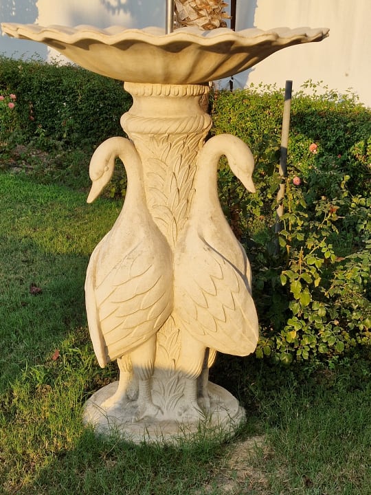 Gartenanlage Dream World Aqua Hotel