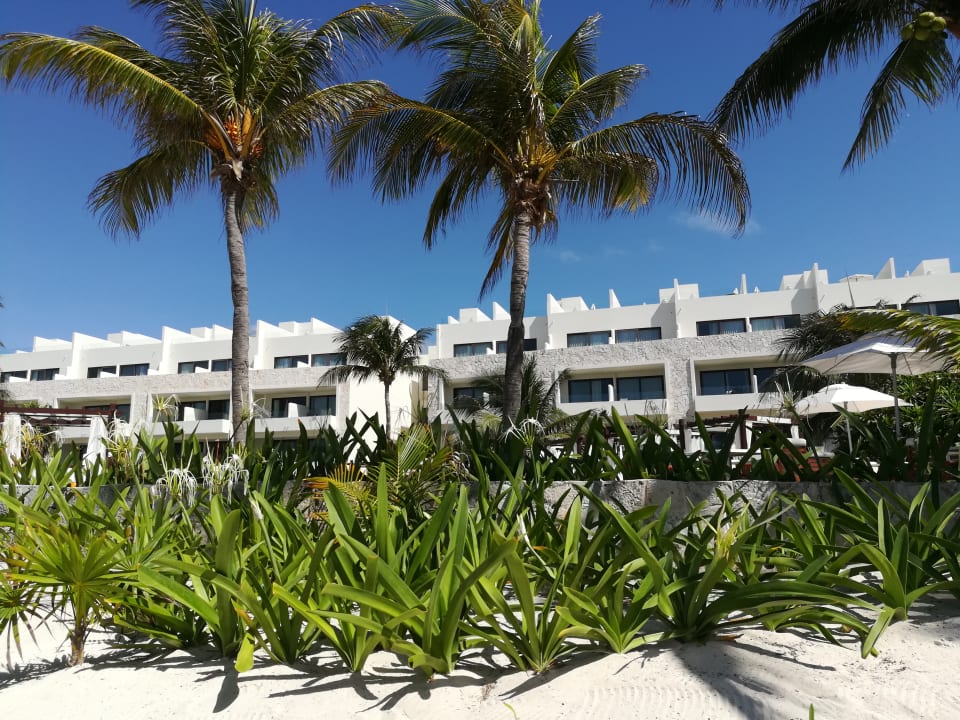 Außenansicht Akumal Bay Beach & Wellness Resort
