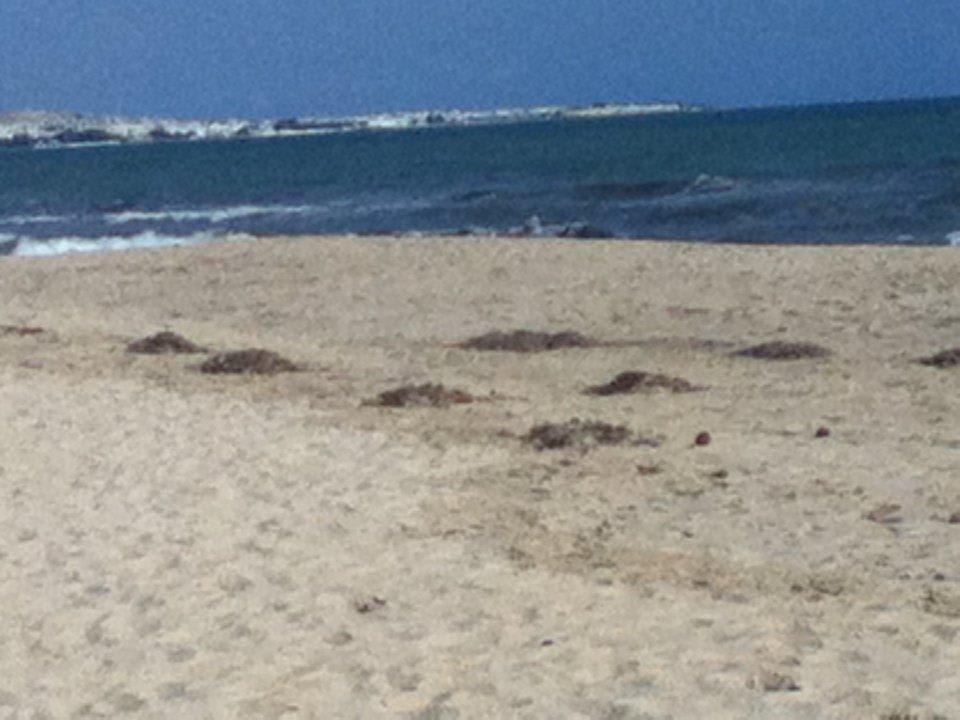 Sauberkeit Oceana Hotel & Spa