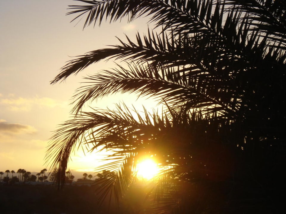 Sonnenaufgang vor der Anlage Bungalows Cordial Sandy Golf