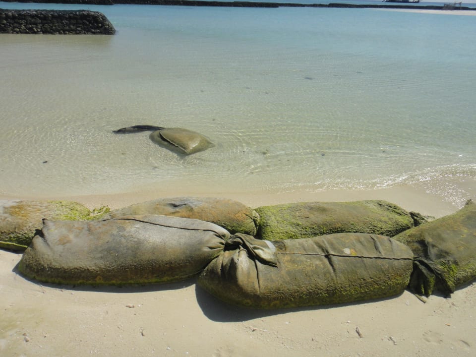 In die Jahre gekommende Sandsäcke  Summer Island Maldives