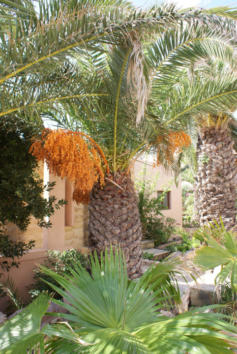 Bei den Bungalows Comino Hotel & Bungalows