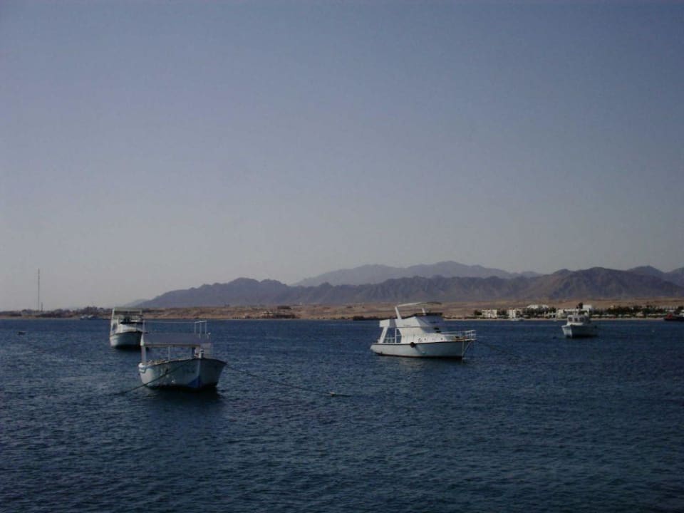 Ausblick Eagles Paradise Abu Soma