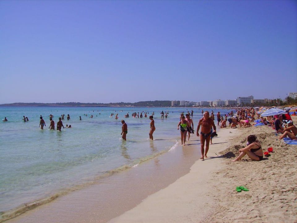Der super schöne Strand,  einfach klasse... Hotel Sabina Playa