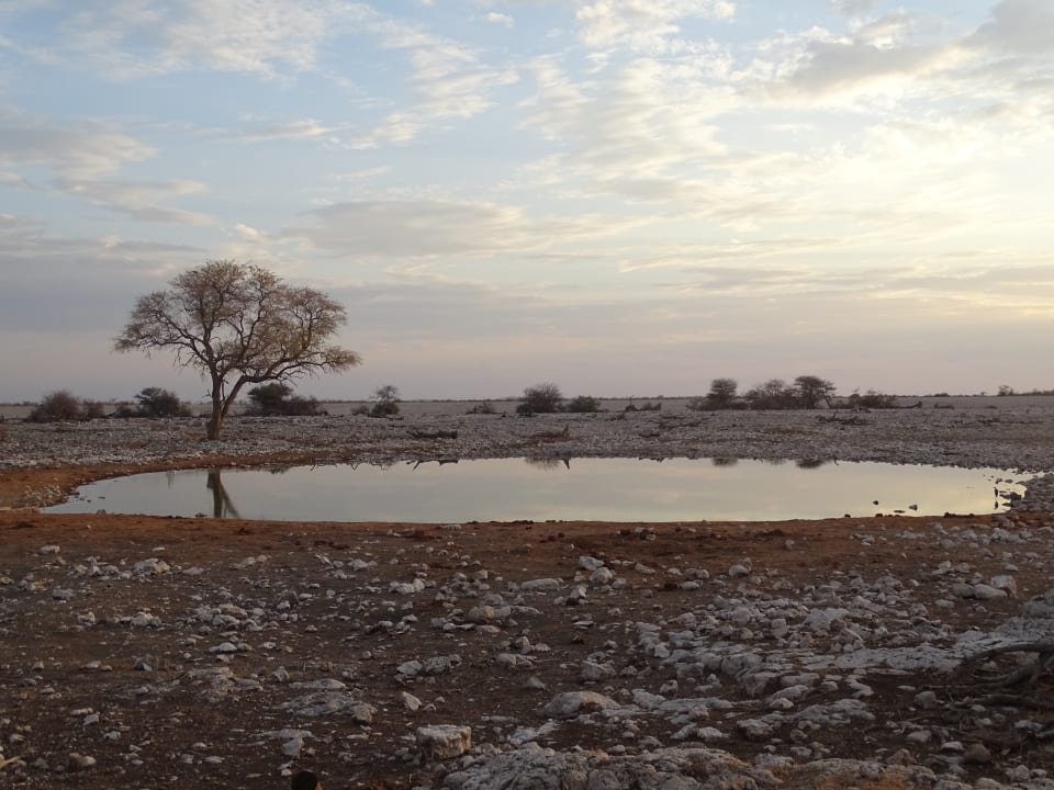 Ausblick Okaukuejo Camp