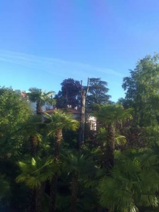 Ausblick in den Garten Continental Parkhotel