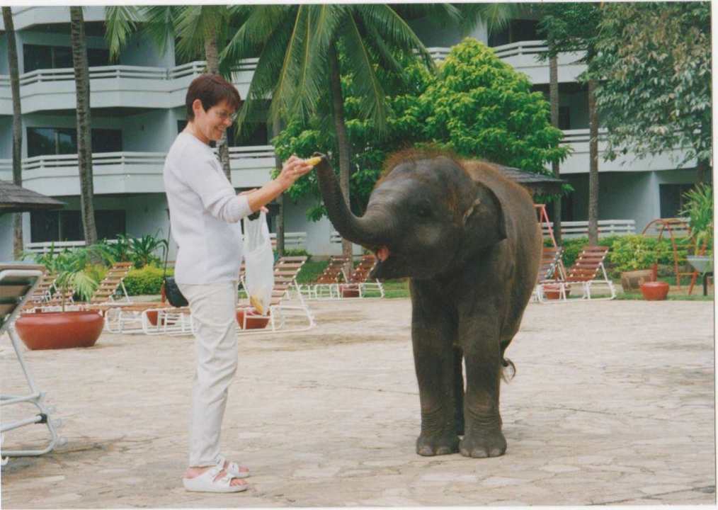 Begrüßung Hotel Regency Wing
