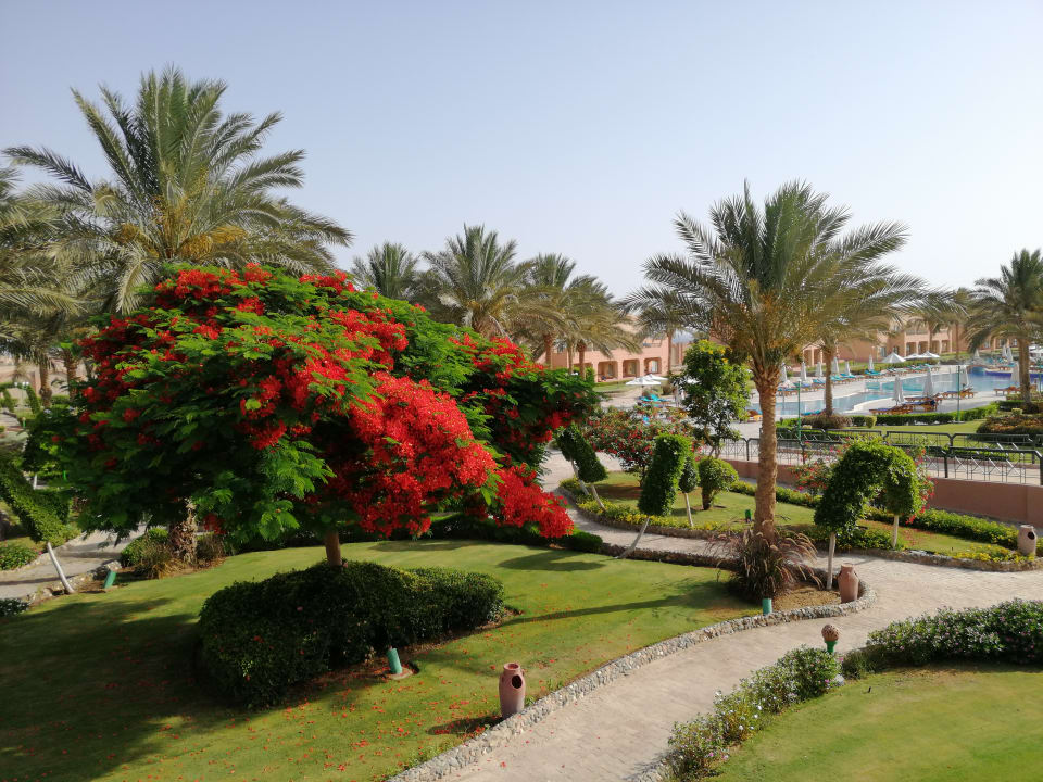 Pool Sentido Akassia Beach