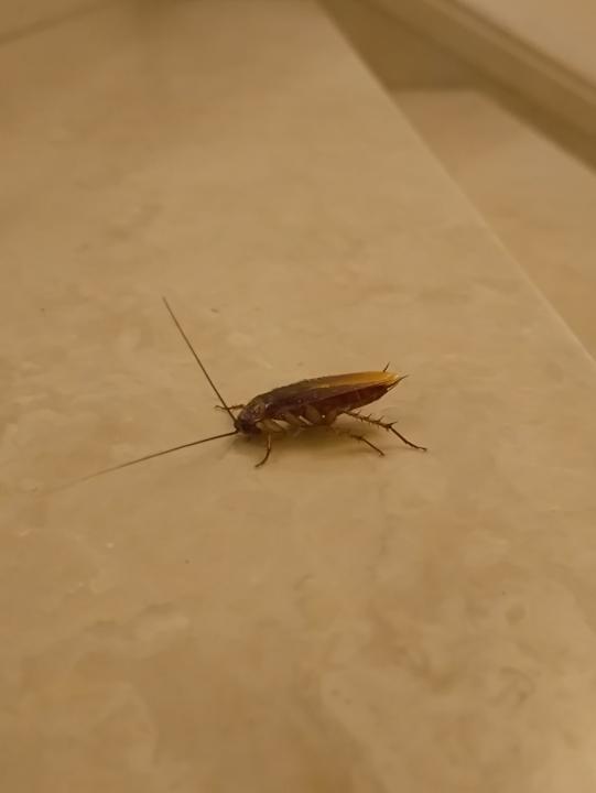 Zimmer Melas Resort Hotel