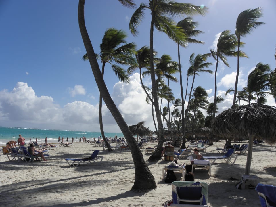 Hotel Occidental Grand Flamenco Punta Cana Occidental Punta Cana